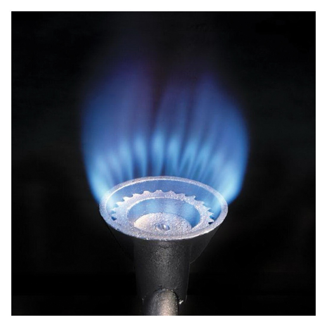 Bayou Classic SS31 Burner, 1-Burner, Propane, 58,000 Btu, Manual Ignition, Stainless Steel - 2