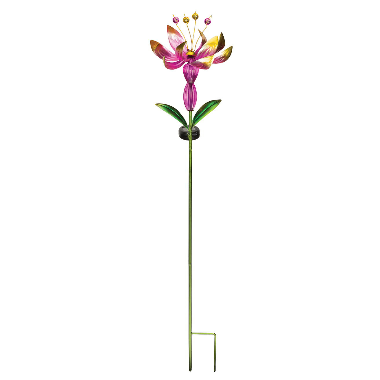 Regal Art & Gift 12505