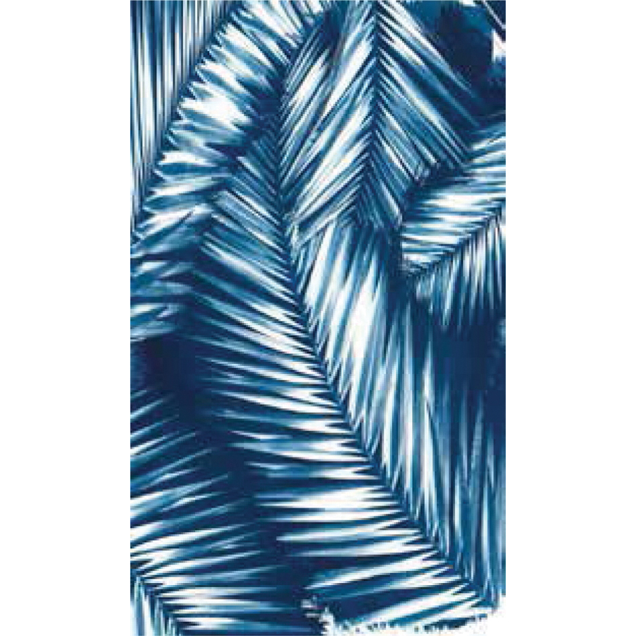 QUAGGA P11721-NVY