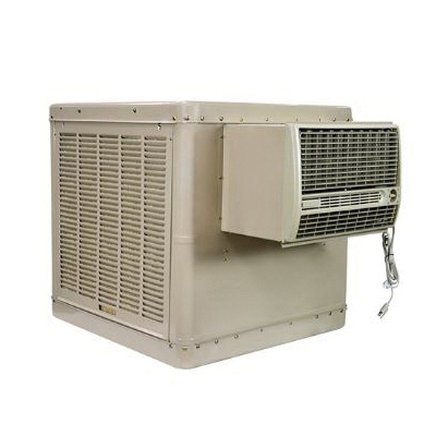 RWC46 Evaporative Cooler, 13 gal Tank, 2-Speed, 115 V