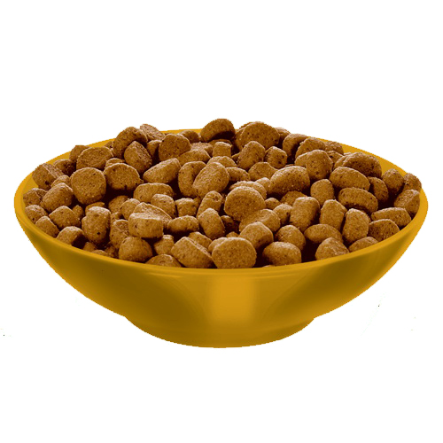 Science Diet 2969 102615099 IFA