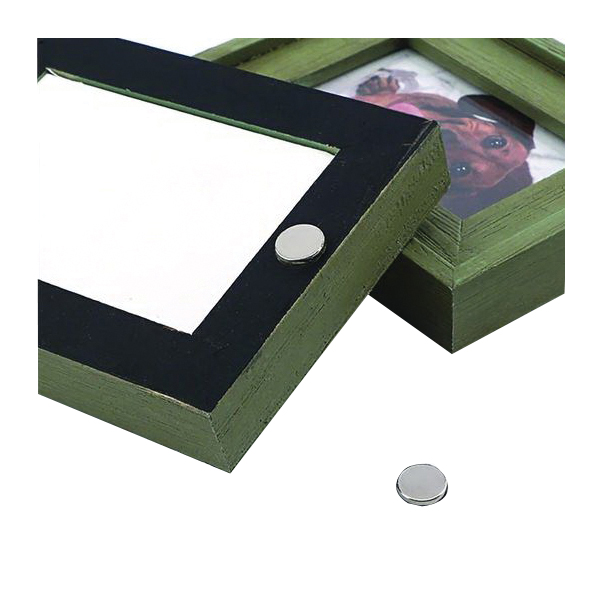 Magnet Source 07527 Disc Magnet, 2.45 lb Pull Force, Neodymium, 1/2 in Dia, 0.06 in H - 3