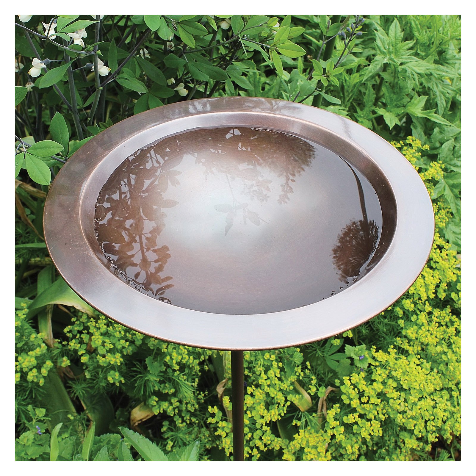 Achla Designs BB-05 Bird Bath, Classic II, Brass, Antique Copper, 12-3/4 in Dia