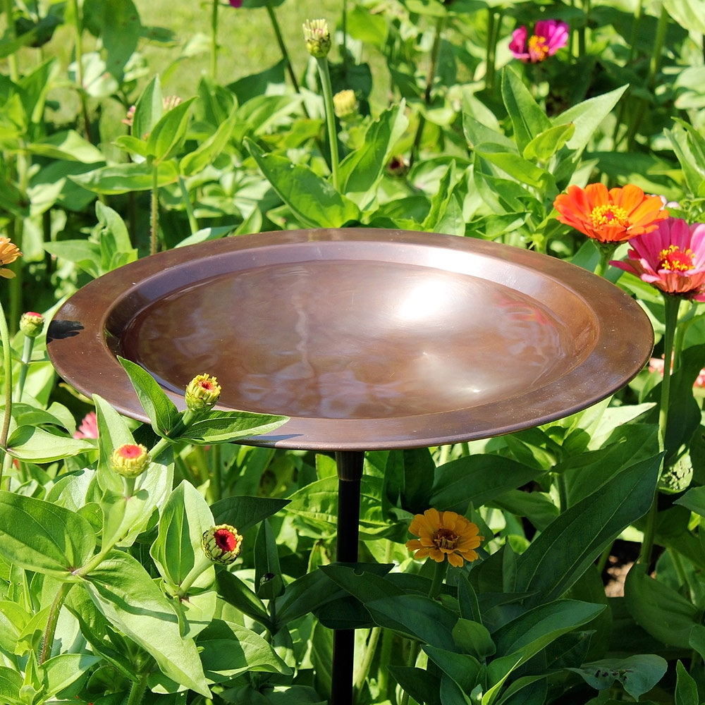 Achla Designs BB-05 Bird Bath, Classic II, Brass, Antique Copper, 12-3/4 in Dia