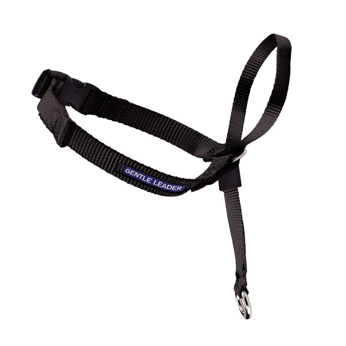 PetSafe GL-Q-HC-P-BLK