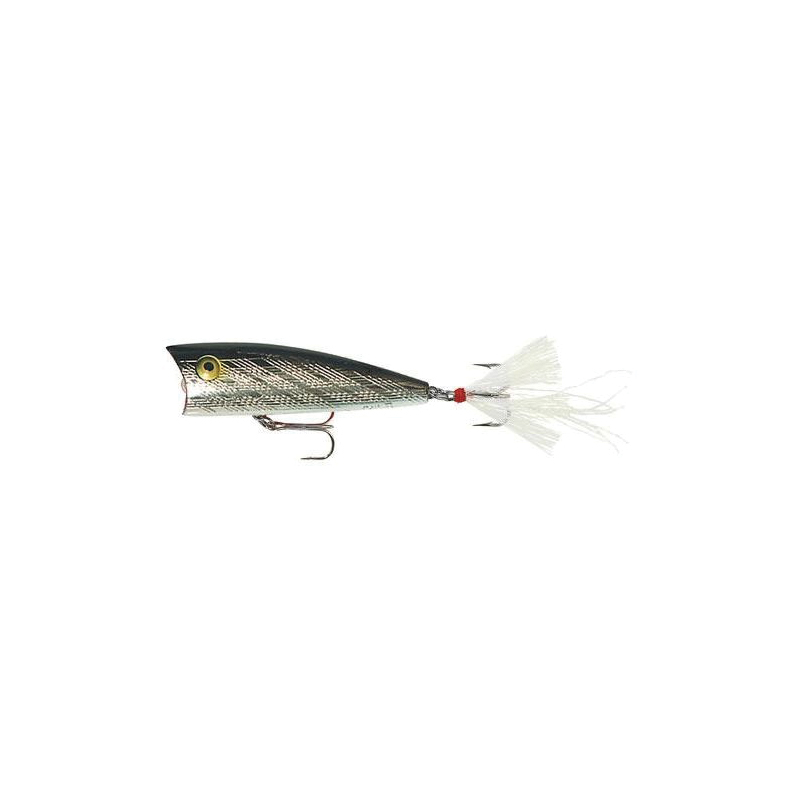 Rebel P6001