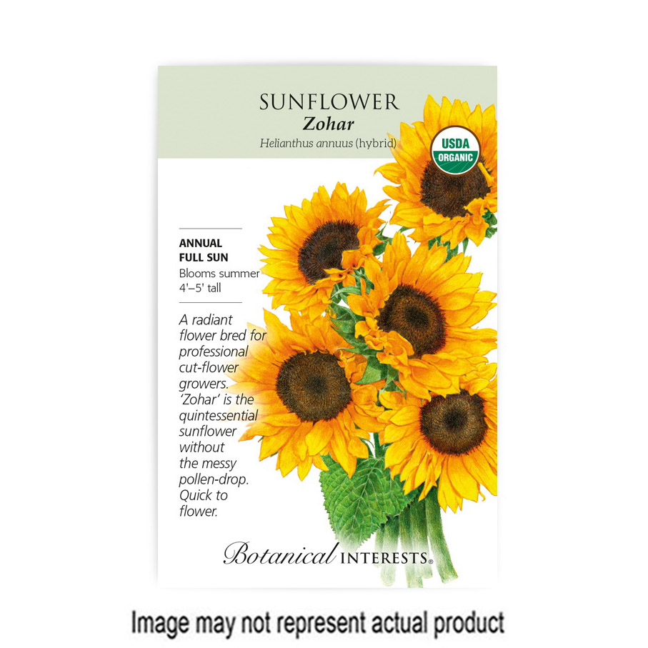 Botanical Interests 2032 Organic Flower Seed, Sunflower, Helianthus Annulus, Late Frost Planting, Summer Bloom - 1