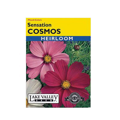 Lake Valley Seed 113