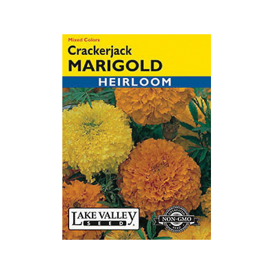 Lake Valley Seed 184