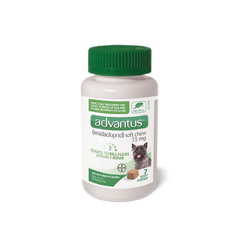 Bayer advantus on sale