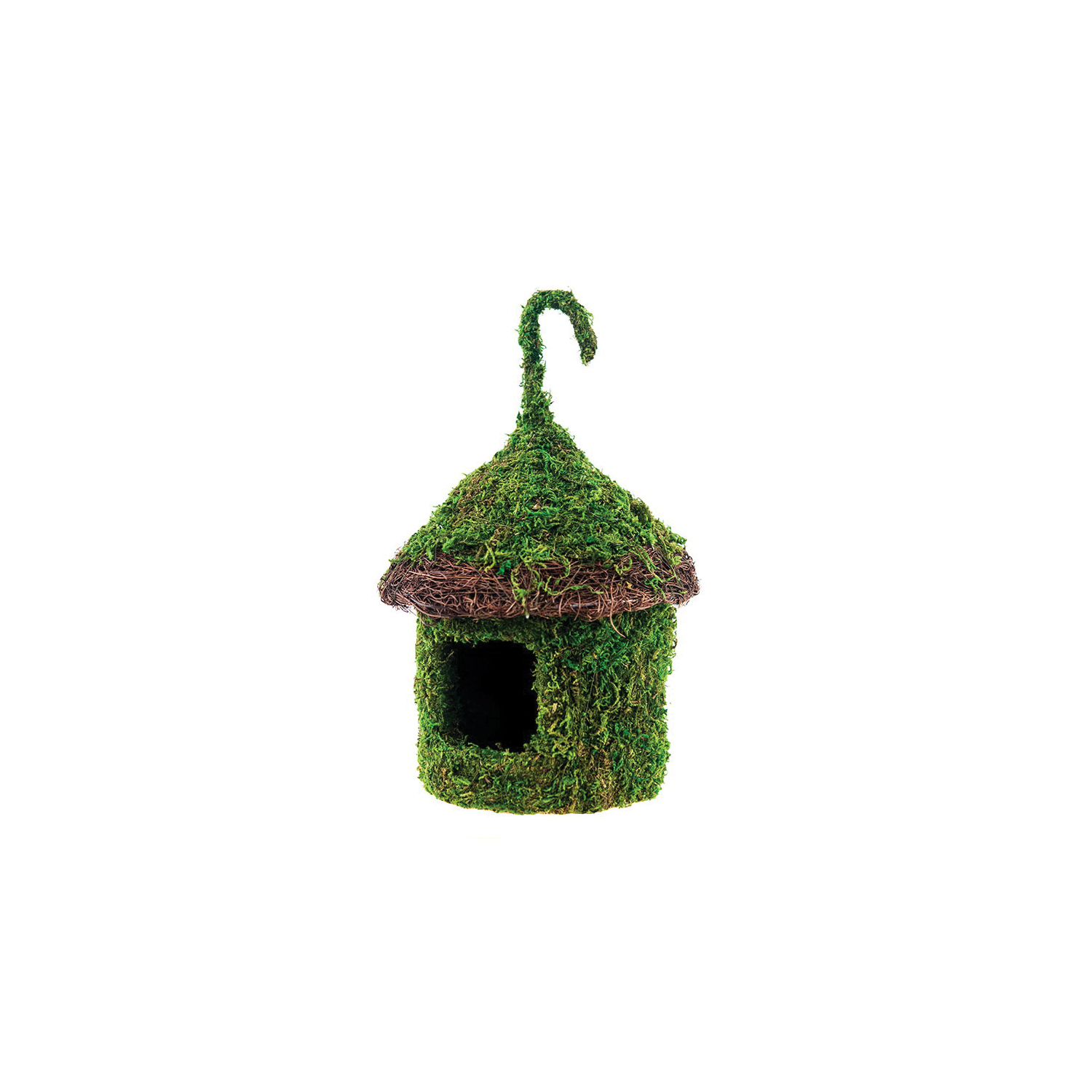 SuperMoss 56019 Decorative Bird House, 6 in W, 7 in H, Rimmed Bungalow, Moss, Green - 1