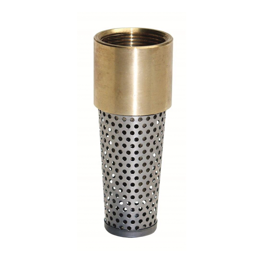 TFV200NL-RM Foot Valve, 2 in Connection, FNPT, 200 psi Pressure, Brass Body