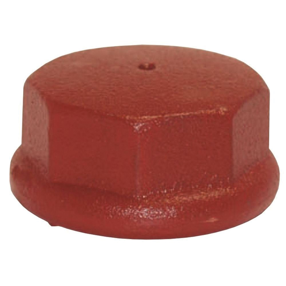 Water Source DC200-RM Drive Cap, 2 in Pipe, Cast Iron