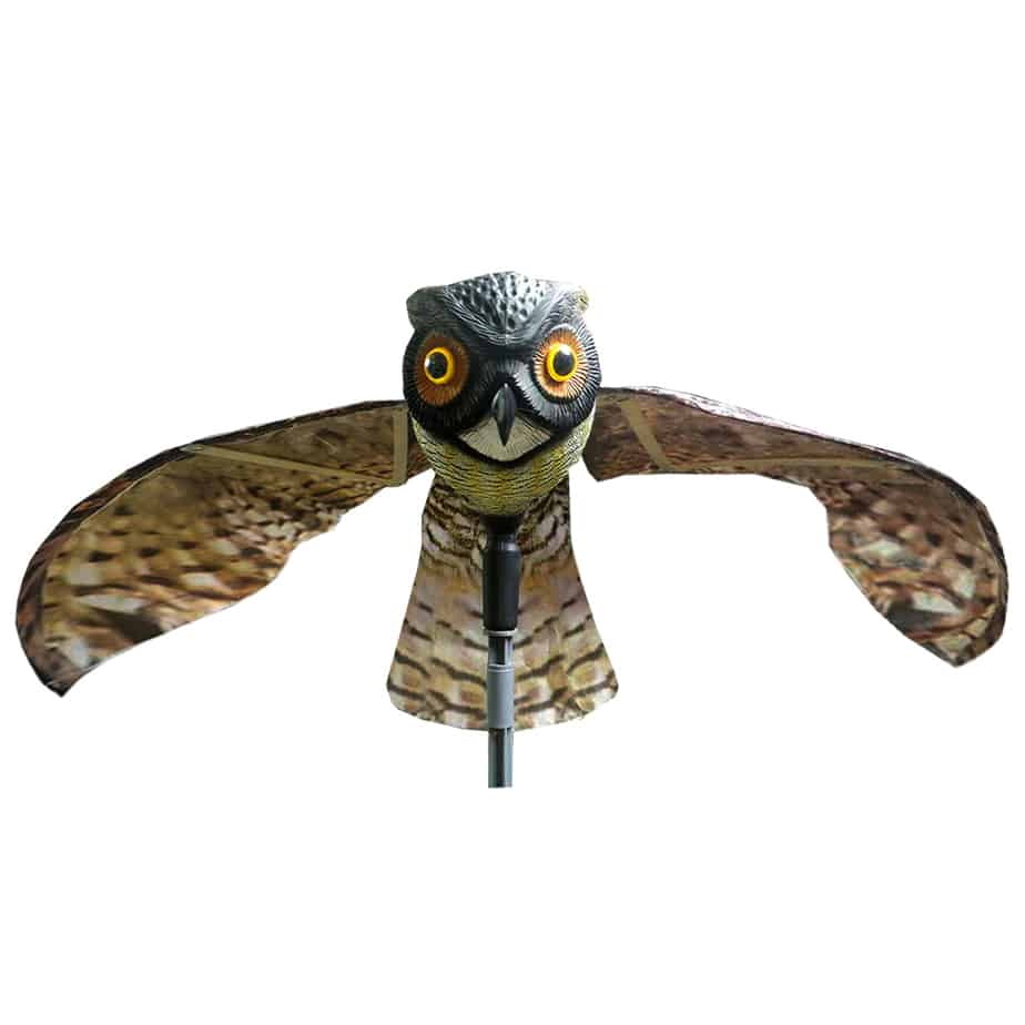 OWL Prowler Owl Decoy, 6 in L, Repels: Birds