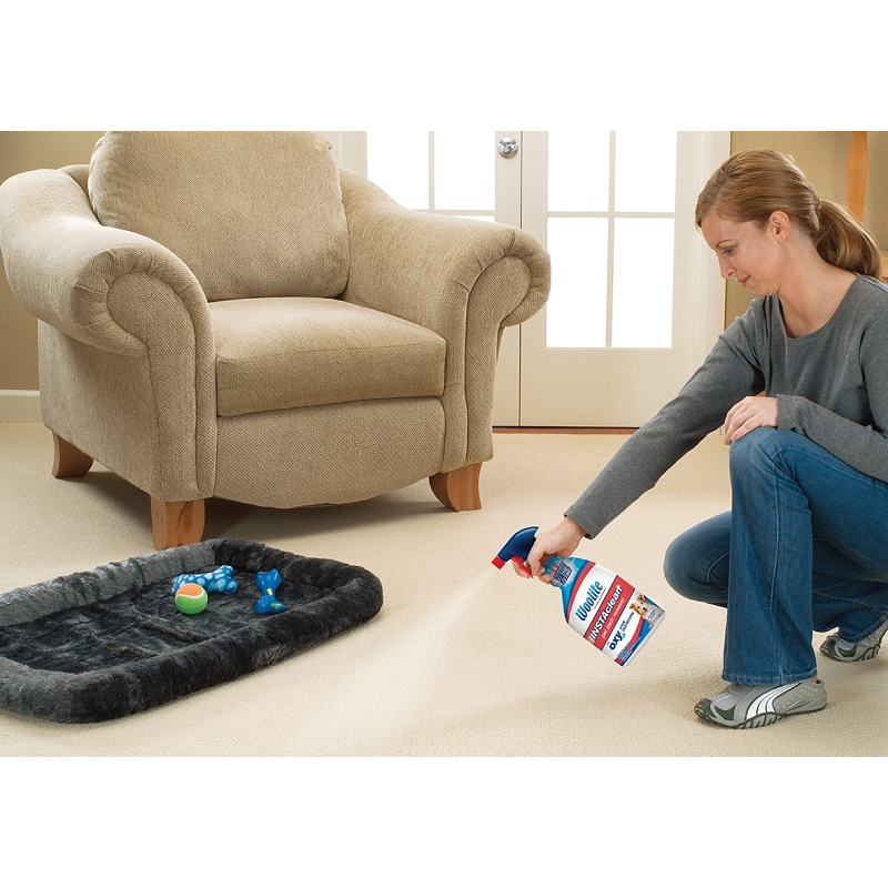 Woolite 1684 Pet Stain Remover, 22 oz - 3
