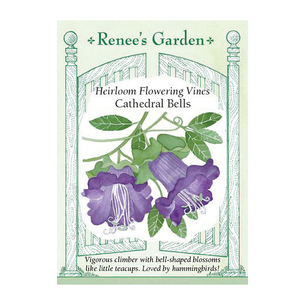 Renee's Garden 5322 Flowering Vines Cathedral Bell