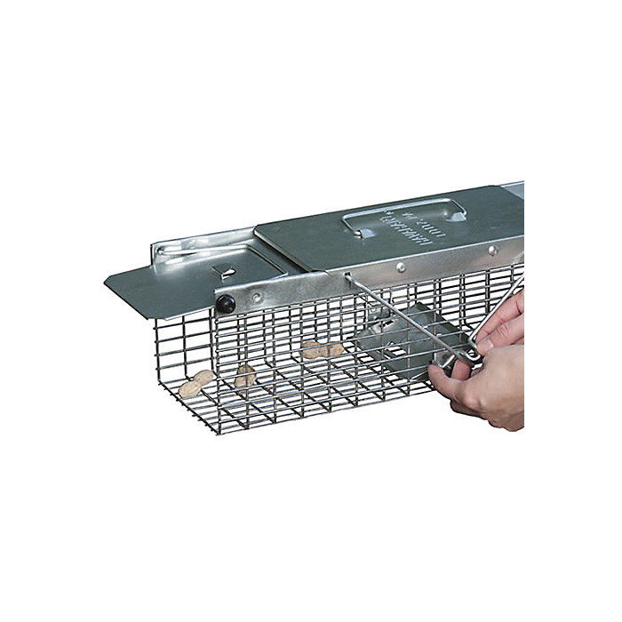 Havahart 1025 Small Animal Trap, 17-1/2 in L, 5.76 in W, 7.22 in H, Spring Loaded Door