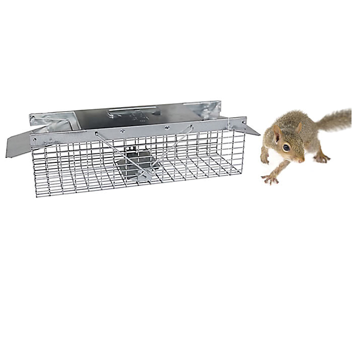 Havahart 1025 Small Animal Trap, 17-1/2 in L, 5.76 in W, 7.22 in H, Spring Loaded Door