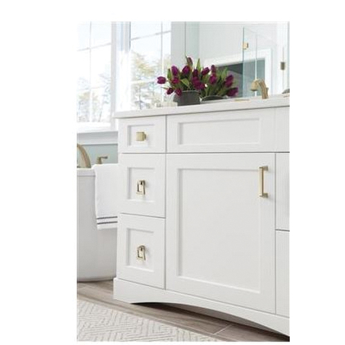 Blackrock Series BP55271BBZ Cabinet Knob, 1-1/16 in Projection, Zinc, Golden Champagne