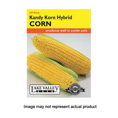 Lake Valley Seed 1441 Vegetable Seed, Kandy Korn Corn, Zea Mays - 1