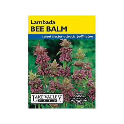 Lake Valley Seed 4487 Flower Seed, Lambada Bee Balm, Monarda Hybrida, Purple Bloom - 1