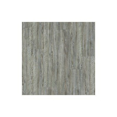 Shaw Floors 2031V-00400
