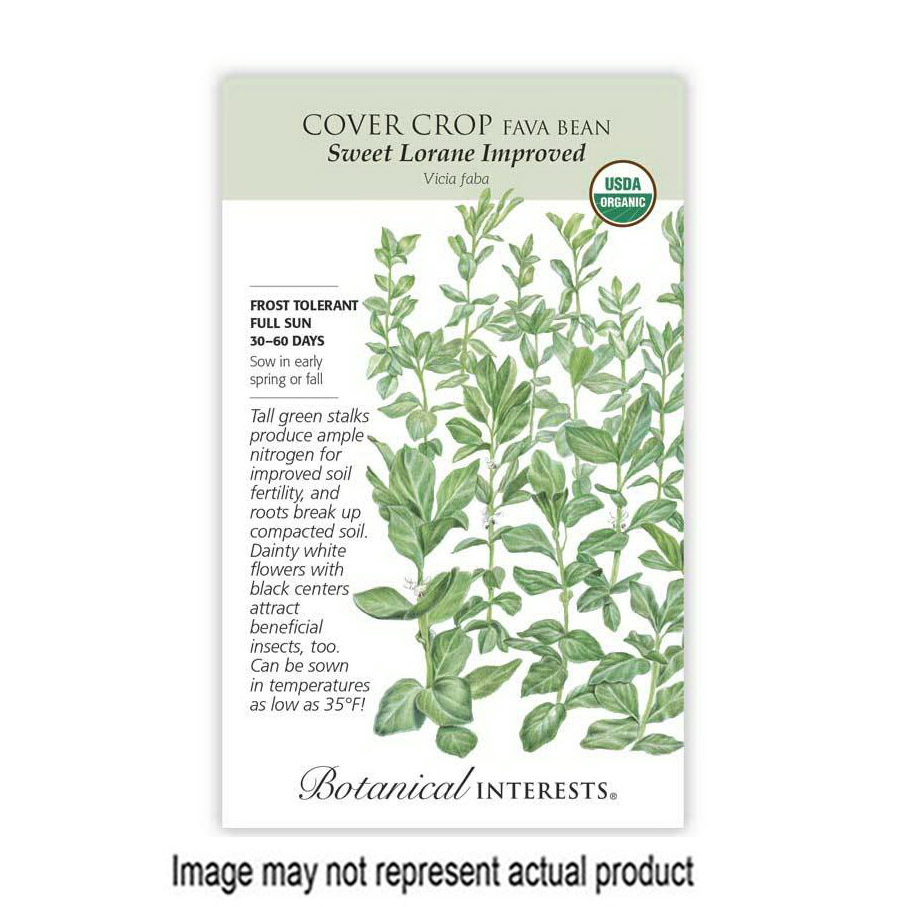 Botanical Interests 7617 Organic Herb Seed, Fava Bean, Vicia Faba, Early Spring, Fall Planting, 50 g Pack - 1