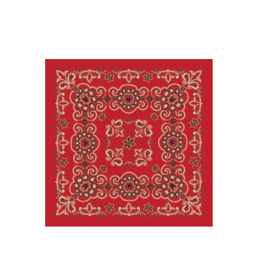 THE BANDANNA CO B27PAI-100028