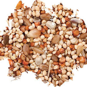 Wild Delight 388410 Bird Food, 10 lb Bag, Ingredients: Millet, Milo, Wheat, Popcorn, Oat Groats, Safflower Seed