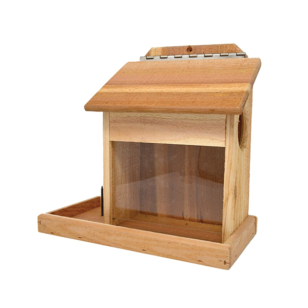 Songbird ESSENTIALS SETC119