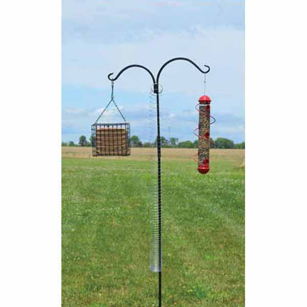 Songbird ESSENTIALS SEMKSP2