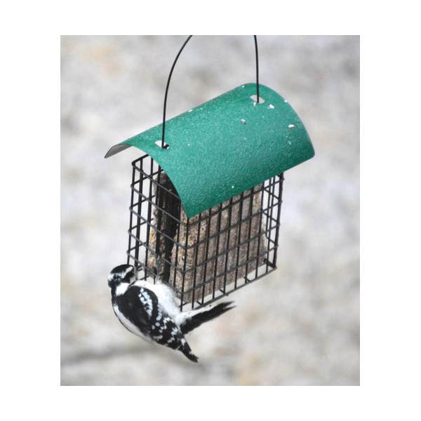 Deluxe Bird Feeder With Suet Cages, Accessories