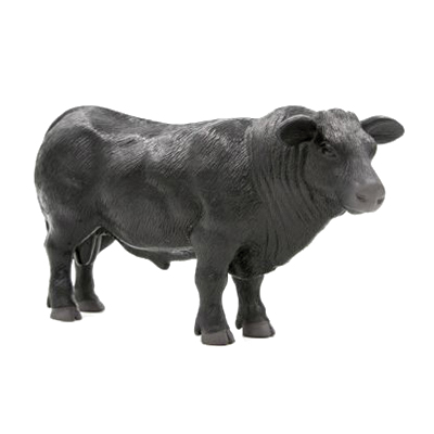 LITTLE BUSTER TOYS 500250