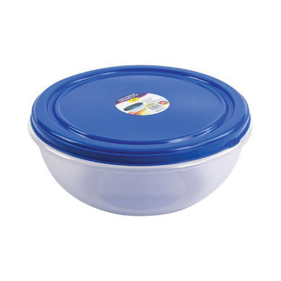 REGENT PRODUCTS 41744N