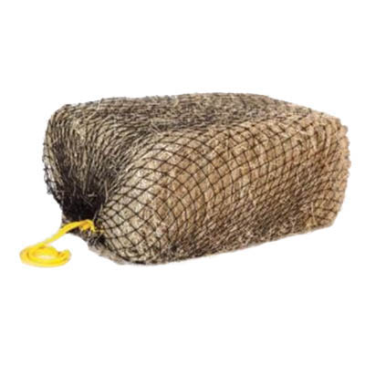 TEXAS HAYNET TXHNSBO6