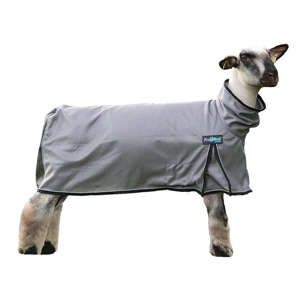 Weaver Leather ProCool 35 3522 B8 Sheep Blanket with Refl