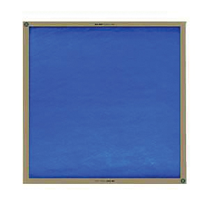 True Blue 20X20X1