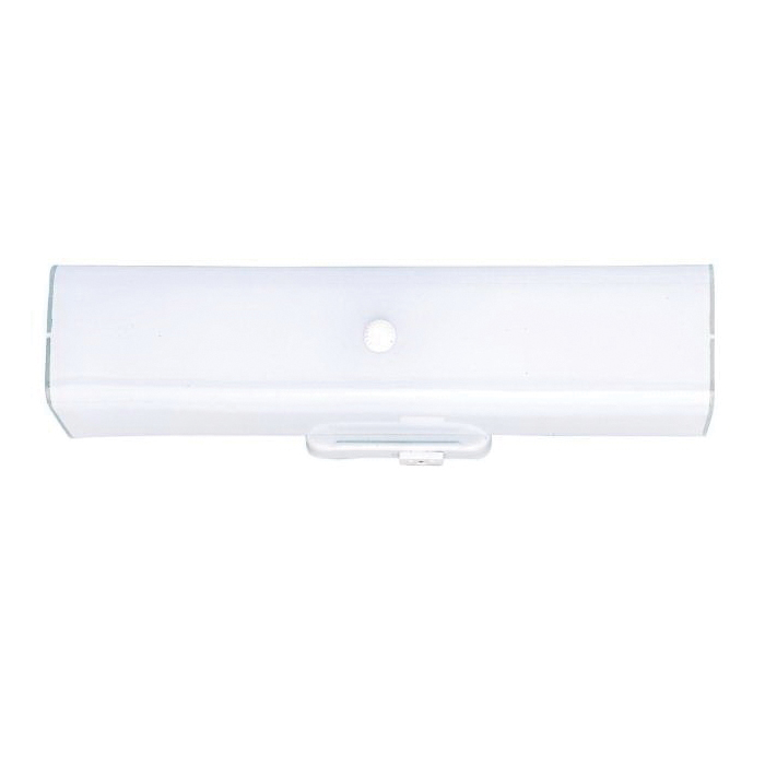 Westinghouse 6640300 Wall Light Fixture with Ground Convenience Outlet, 2-Lamp, White Fixture