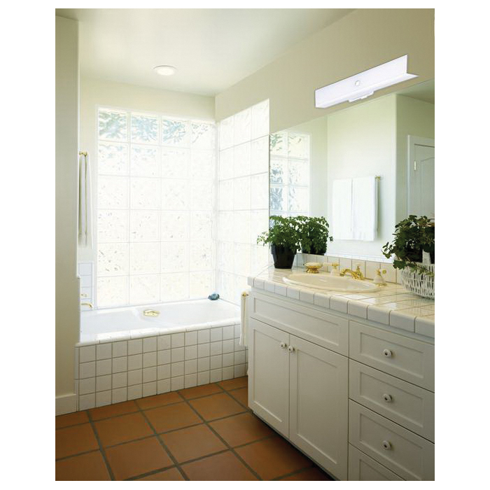 Westinghouse 6640300 Wall Light Fixture with Ground Convenience Outlet, 2-Lamp, White Fixture