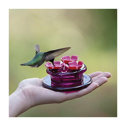 Bird Feeder, Perky-Pet, Hollyhock Flower, 2 oz capacity, Nectar, 3 -Port/Perch, Plastic, Pink - 2