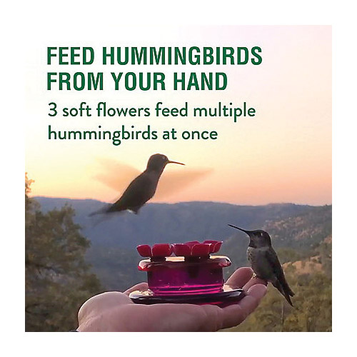 Bird Feeder, Perky-Pet, Hollyhock Flower, 2 oz capacity, Nectar, 3 -Port/Perch, Plastic, Pink - 3