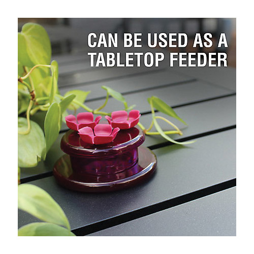 Bird Feeder, Perky-Pet, Hollyhock Flower, 2 oz capacity, Nectar, 3 -Port/Perch, Plastic, Pink - 4
