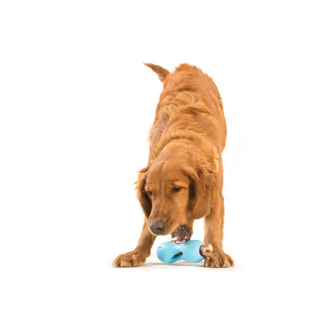 West Paw Qwizl ZG091GRN Dog Toy, L, Tough Puzzle Toy, Zogoflex