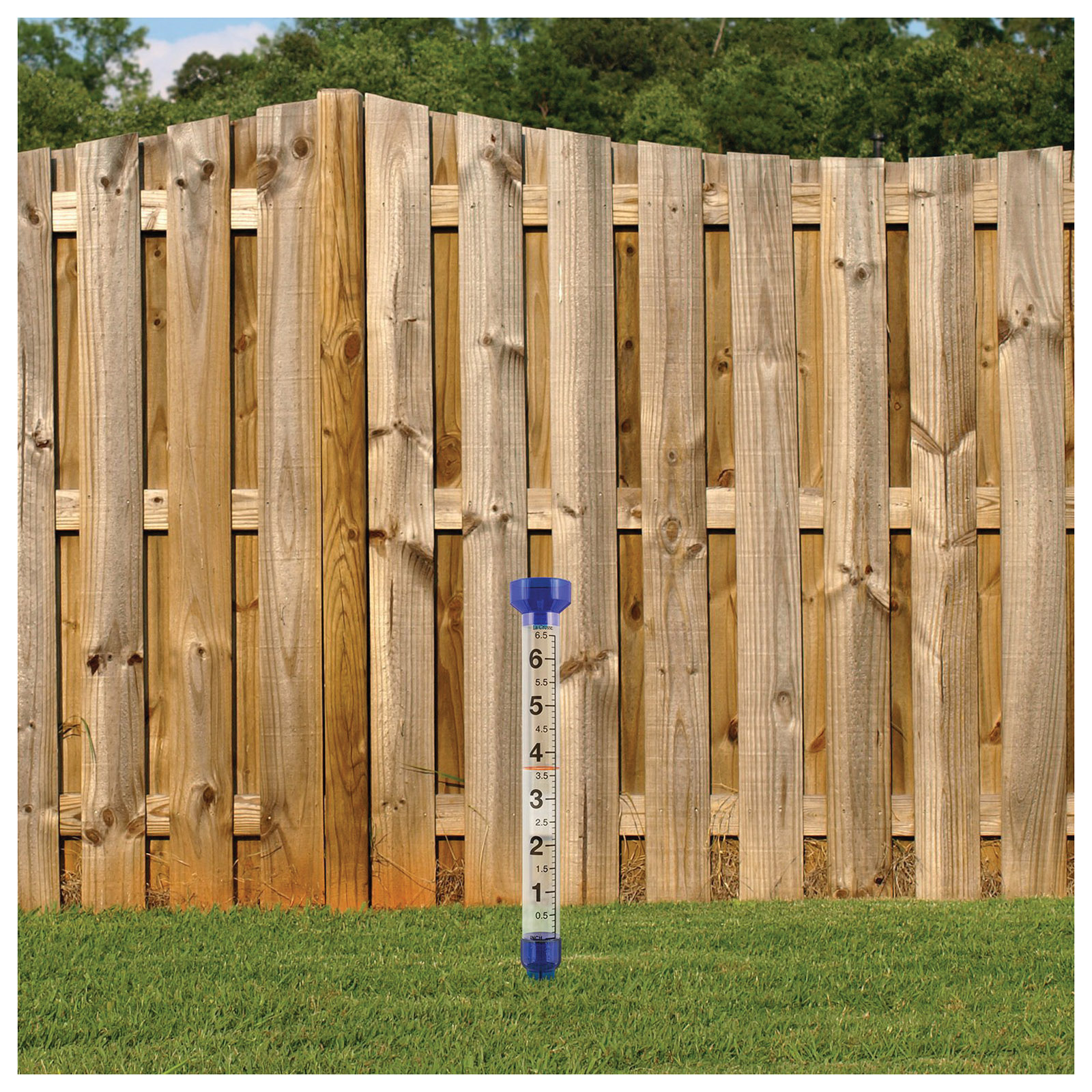 La Crosse 704-1549 Jumbo Rain Gauge, 6 in, Clear - 3