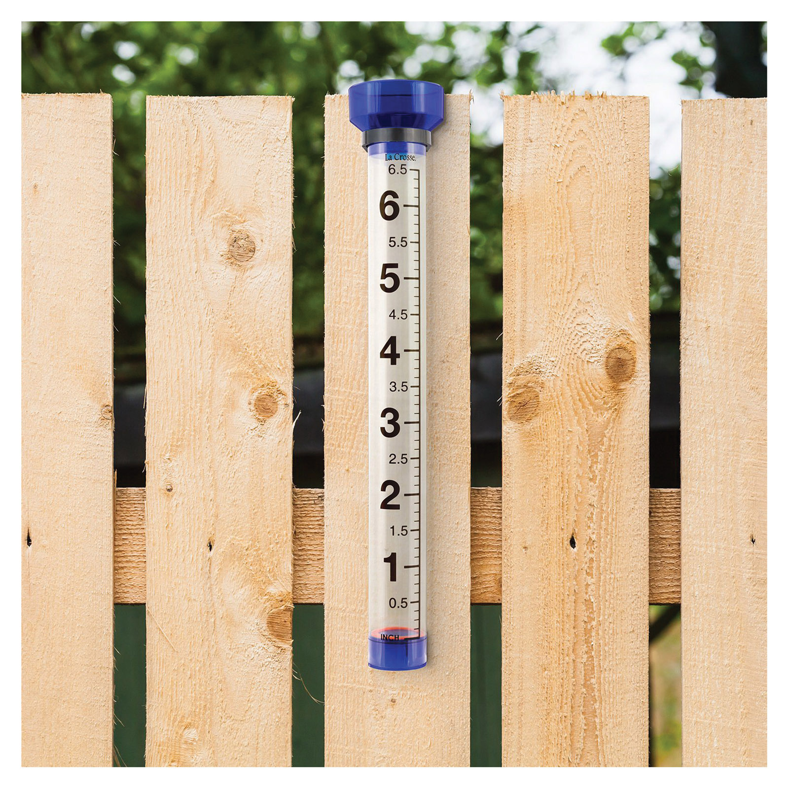 La Crosse 704-1549 Jumbo Rain Gauge, 6 in, Clear - 4