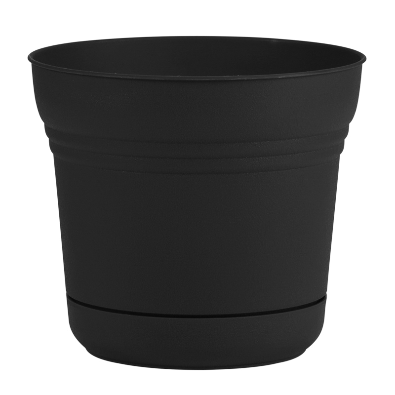 Bloem SPO500 Planter, 4-1/2 in H, 5 in W, 5 in D, Classic Textured Design, Plastic, Black, Matte