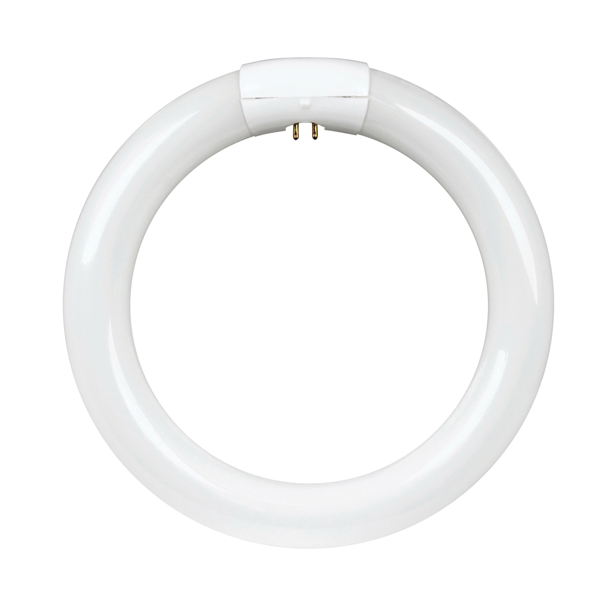 Feit Electric FC8T9/D Fluorescent Bulb, 22 W, T9 Circline Lamp, G10q 4-Pin Lamp Base, 980 Lumens, Daylight Light