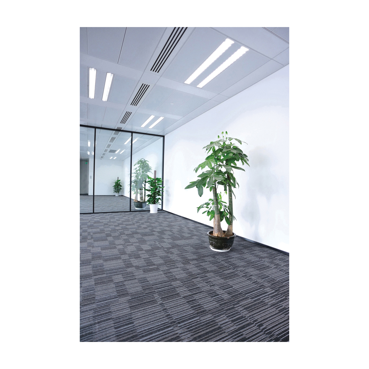 Feit Electric T1248/830/LEDG2/2 LED Fluorescent Tube, 1800 Lumens, 20 W, T12 Lamp, 40 W Equivalent, Frosted - 4