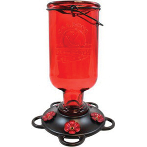 38 Bird Feeder, 13 oz, Nectar