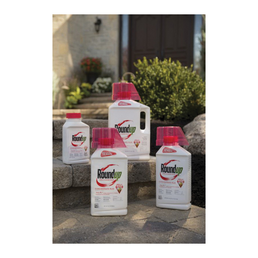 Roundup 5005510 Weed and Grass Killer, Liquid, Amber/Clear, 16 oz Bottle